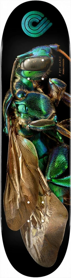 Powell Peralta Skateboard Deck BISS Cuckoo Bee - Shape 242 - 8 X 31.45