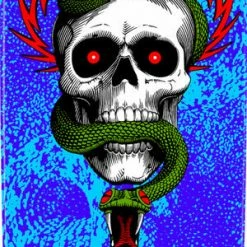 POWELL PERALTA MIKE MCGILL SKULL AND SNAKE FLIGHT SKATEBOARD DECK 9 X 32.45